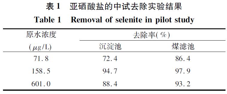 表1 亞硒酸鹽的中試去除實驗結(jié)果